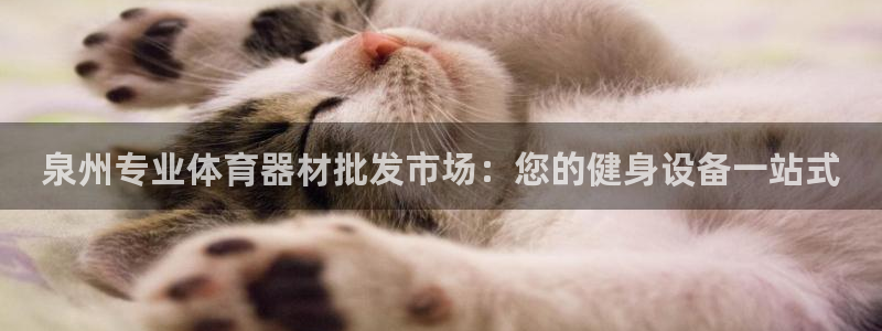 富联平台主管：泉州专业体育器材批发市场：您的健身设备