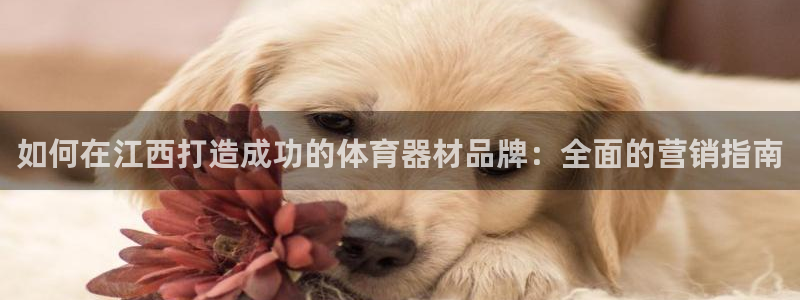 富联物业：如何在江西打造成功的体育器材品牌：全面的营