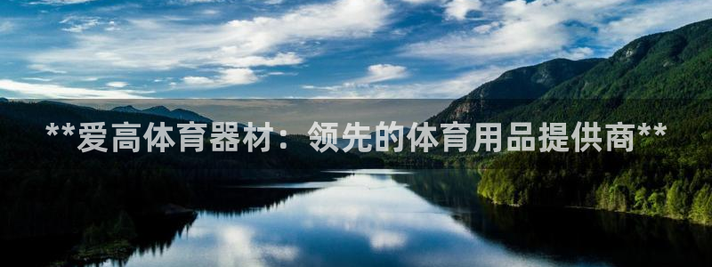 富联是什么：**爱高体育器材：领先的体育用品提供商*