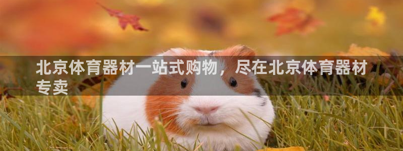 富联官方网站：北京体育器材一站式购物，尽在北京体育器