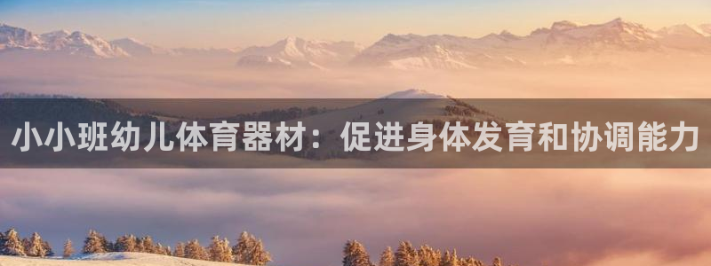 富联平台q665.786：小小班幼儿体育器材：促进身体发育和
