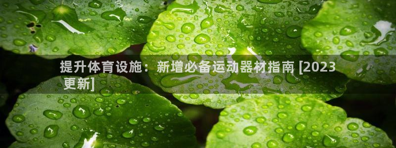 富联娱乐老板叫什么：提升体育设施：新增必备运动器材指