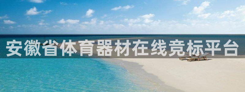 富联平台总代理是谁：安徽省体育器材在线竞标平台