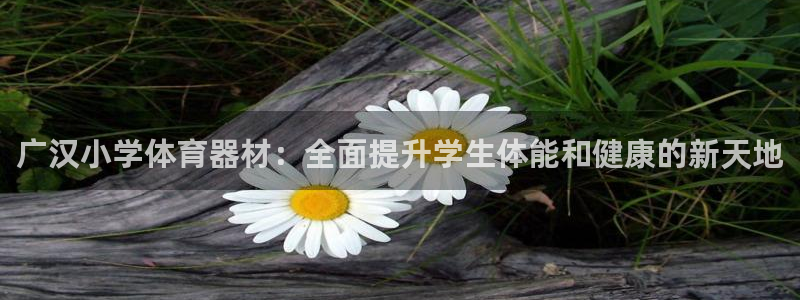 富联娱乐正规吗安全吗：广汉小学体育器材：全面提升学生