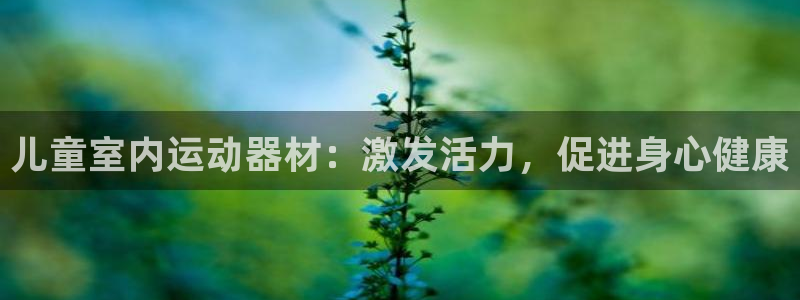 富联娱乐玩法机制是什么：儿童室内运动器材：激发活力，