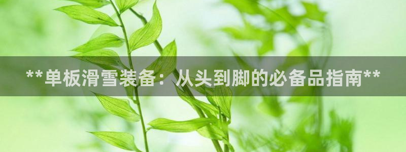 富联娱乐代理怎么做的：**单板滑雪装备：从头到脚的必