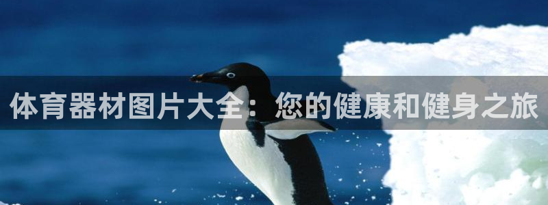 富联娱乐平台能挣到钱吗知乎：体育器材图片大全：您的健
