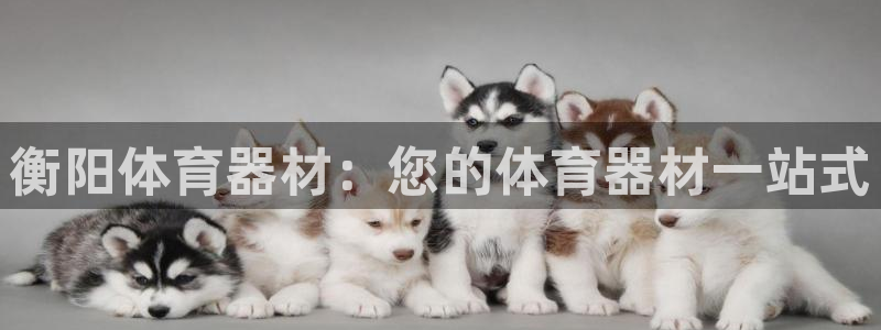 富联是什么：衡阳体育器材：您的体育器材一站式