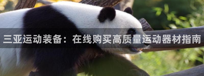 富联娱乐合作 58534I 娱乐：三亚运动装备：在线