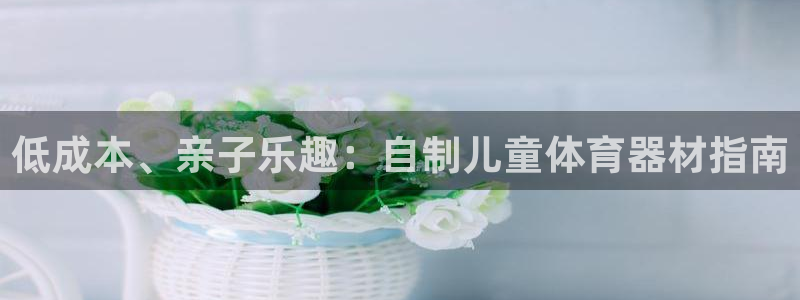 富联平台木 5o69I7：低成本、亲子乐趣：自制儿童