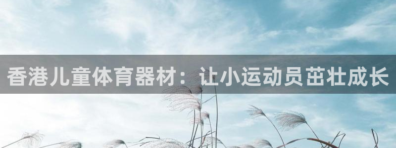 深圳富联智能制造产业创新中心：香港儿童体育器材：让小