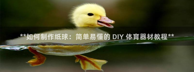 富联申购中签时间：**如何制作纸球：简单易懂的 DI