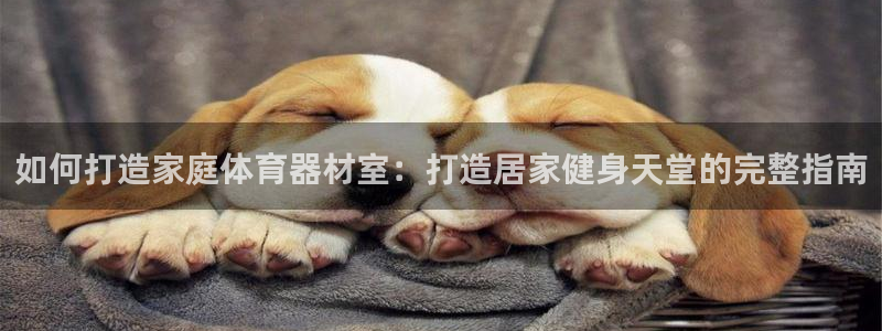 富联娱乐股东名单：如何打造家庭体育器材室：打造居家健