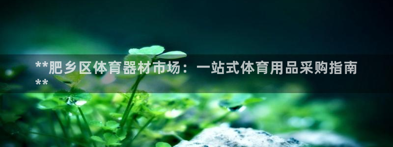 富联平台挂机怎么操作：**肥乡区体育器材市场：一站式