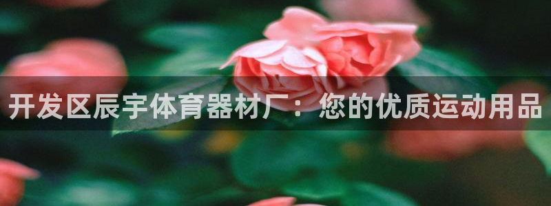 富联官方网站入口网址是多少：开发区辰宇体育器材厂：您