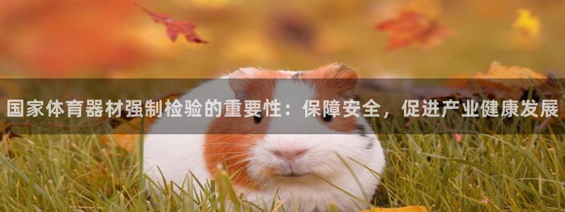 富联官方网站入口网址查询：国家体育器材强制检验的重要