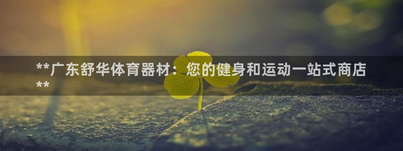 富联集团董事长：**广东舒华体育器材：您的健身和运动