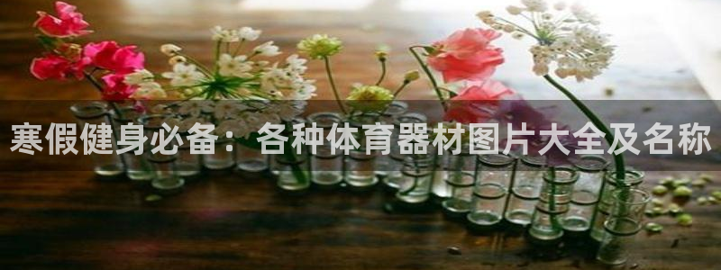 富联娱乐登录注册：寒假健身必备：各种体育器材图片大全