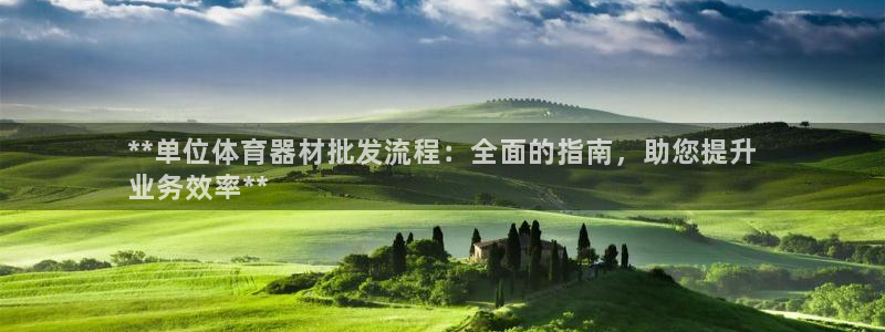 富联官网授权店铺查询：**单位体育器材批发流程：全面