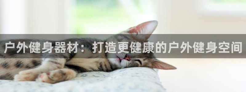 富联官方网站入口下载安卓：户外健身器材：打造更健康的