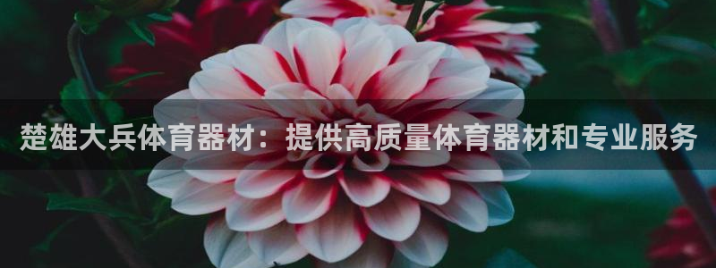 富联平台辉 411o31 富联：楚雄大兵体育器材：提