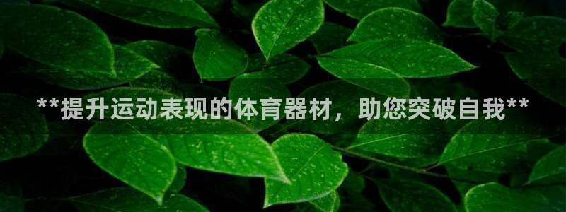富联娱乐玩法机制：**提升运动表现的体育器材，助您突