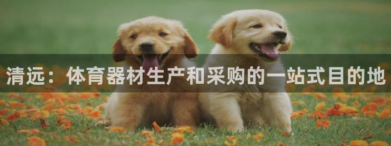 富联官网代理系列：清远：体育器材生产和采购的一站式目