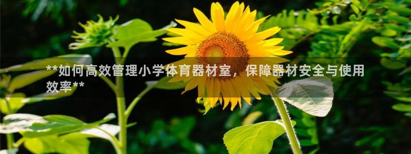 富联图文