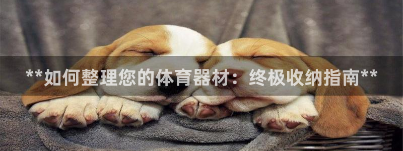 富联娱乐登录注册入口官网下载安装：**如何整理您的体