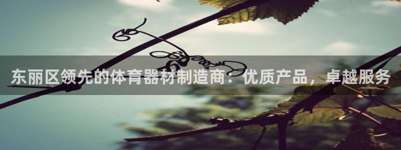 富联娱乐认 58534I 富联：东丽区领先的体育器材