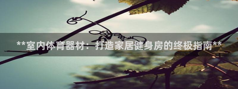 富联官网注册：**室内体育器材：打造家居健身房的终极