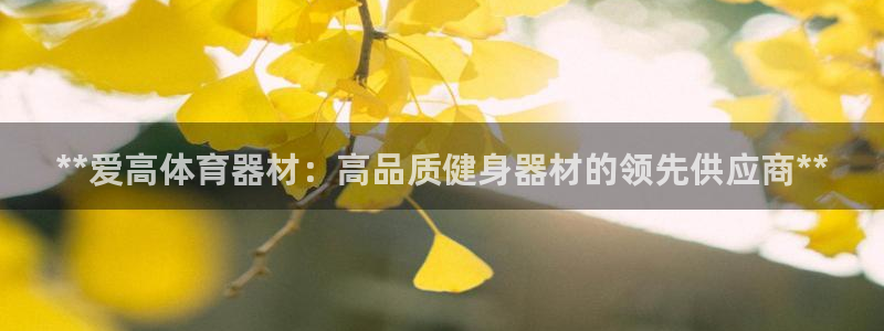 富联官网授权：**爱高体育器材：高品质健身器材的领先