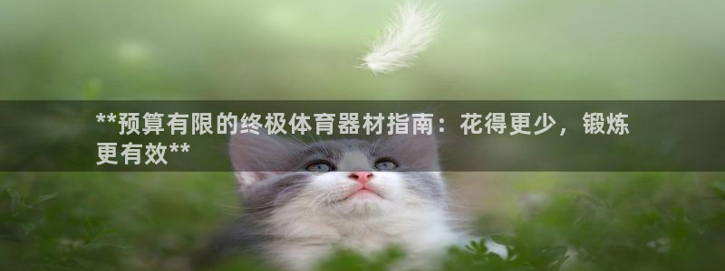 富联娱乐登录地址：**预算有限的终极体育器材指南：花