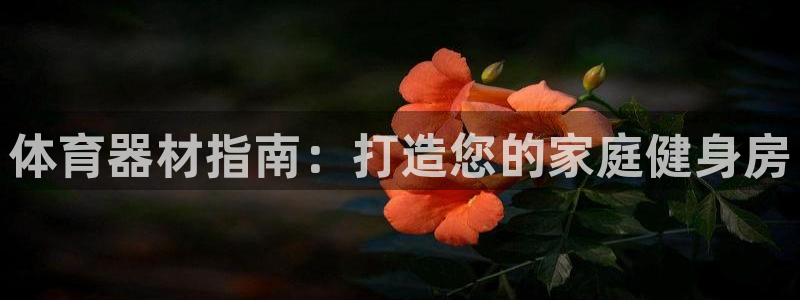富联娱乐负责人：体育器材指南：打造您的家庭健身房