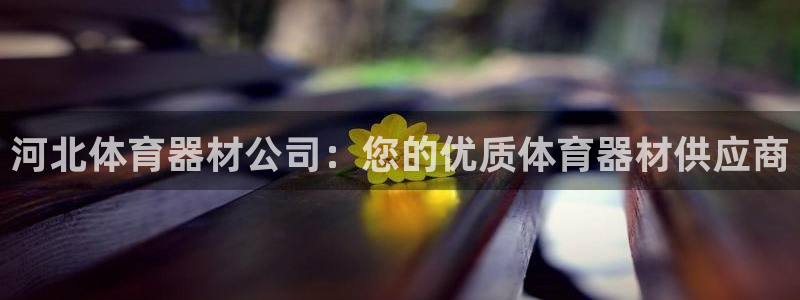 富联娱乐真的吗：河北体育器材公司：您的优质体育器材供