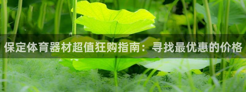 富联官网登录入口网址：保定体育器材超值狂购指南：寻找
