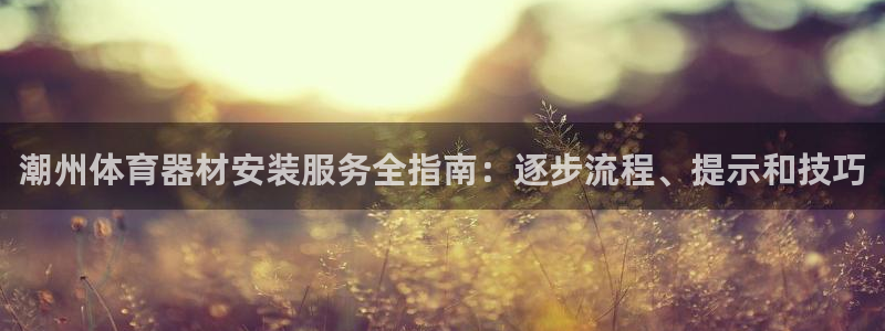 富联科技上市了吗知乎：潮州体育器材安装服务全指南：逐