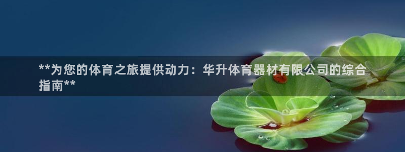 富联娱乐是什么时候开的股票：**为您的体育之旅提供动