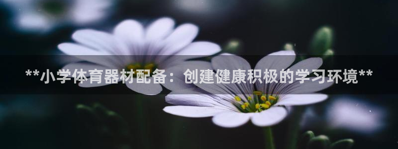 富联娱乐向 5o69I7：**小学体育器材配备：创建