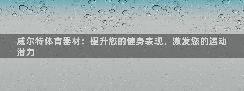 共富联盟店是不是真的：威尔特体育器材：提升您的健身表
