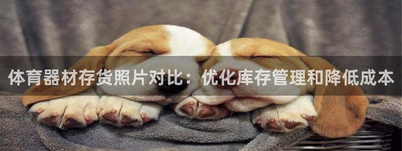 富联平台登录网址是什么：体育器材存货照片对比：优化库存管理和