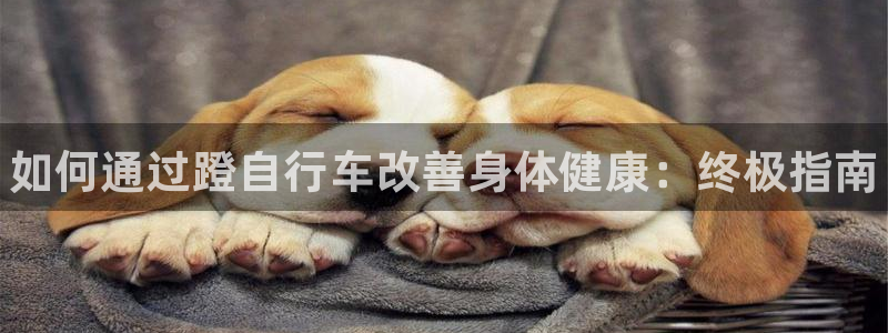 富联娱乐客服微信：如何通过蹬自行车改善身体健康：终极指南