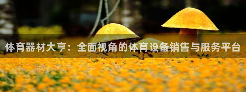 富联官网代理系列是正品吗