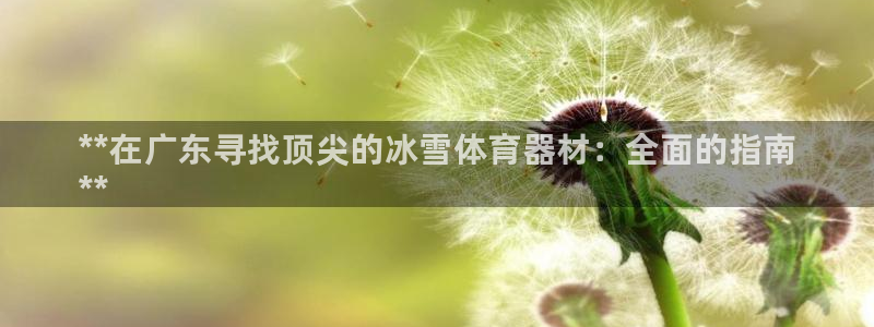 富联是什么意思网络用语：**在广东寻找顶尖的冰雪体育器材：全