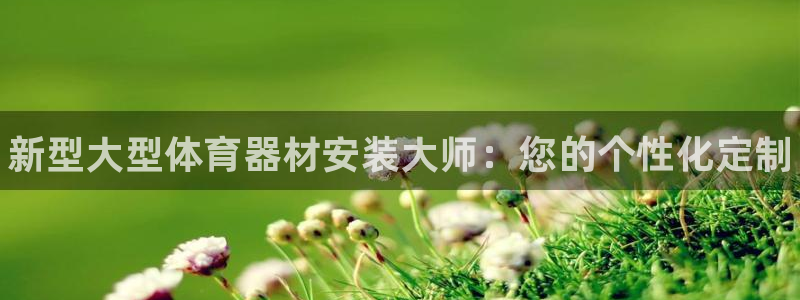 富联官方网站入口网址：新型大型体育器材安装大师：您的个性化定