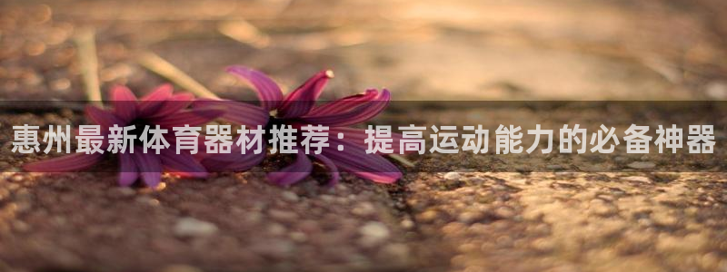 富联娱乐是真的吗：惠州最新体育器材推荐：提高运动能力