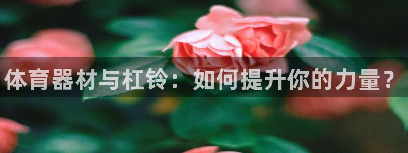 富联娱乐老板：体育器材与杠铃：如何提升你的力量？