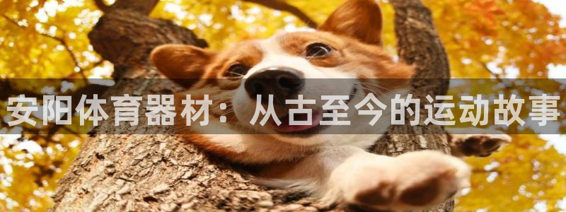 富联平台乙6.7.5.1.3.8：安阳体育器材：从古