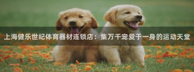 富联平台是什么平台：上海健乐世纪体育器材连锁店：集万