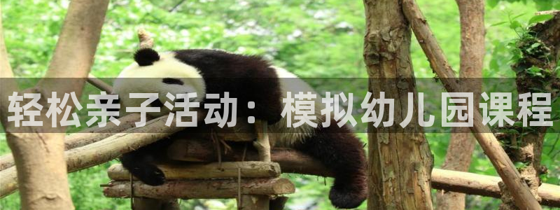 富联平台官网下载：轻松亲子活动：模拟幼儿园课程